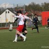 bornaer sv 91 gegen bsv schoenau 24.04.2016  10
